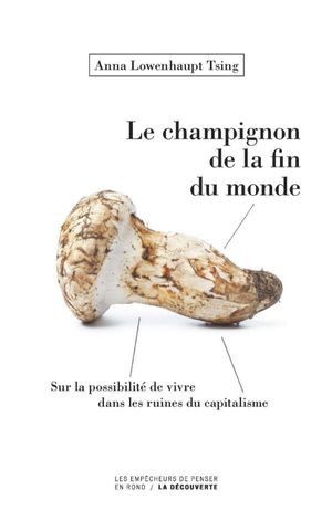 Le champignon de la fin du monde