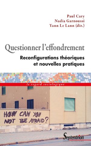 Questionner l'effondrement. Reconfigurations théoriques et nouvelles pratiques